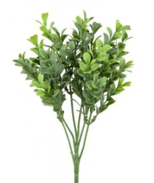 New Boxwood Pick 25cm UV-0