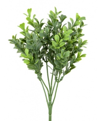 New Boxwood Pick 25cm UV-0