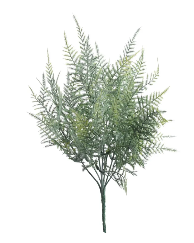 Asparagus Fern Bush (38cm)-0