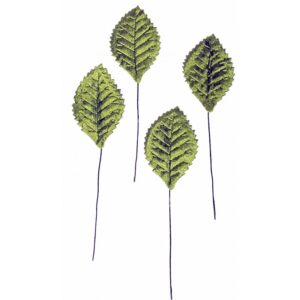 Corsage Leaves - Green (15cm Long x 100pcs per pk)-0