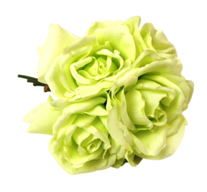 27cm Green Open Rose Posy x 5 Heads-0