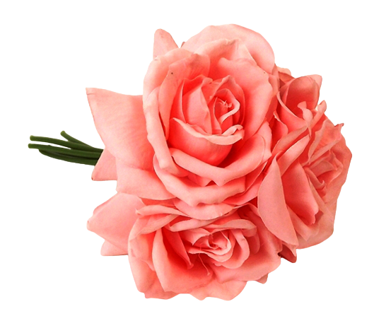 27cm Mid Coral Open Rose Posy x 5 Heads-0