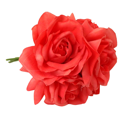27cm Coral Open Rose Posy x 5 Heads-0