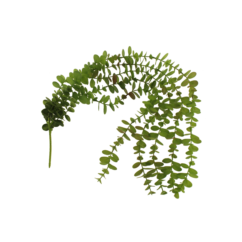 80cm Trailing Eucalyptus Vine Green-0