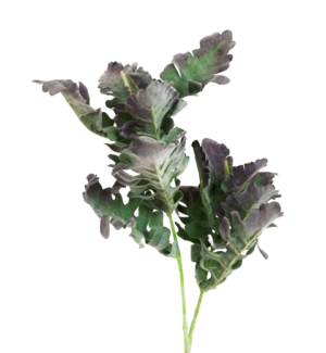 74cm Dusty Miller Spray Green/Purple-0