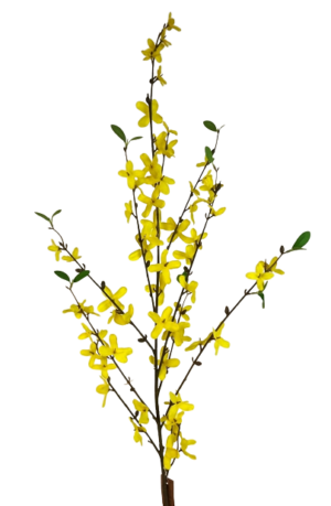 100cm Forsythia Spray Yellow-0