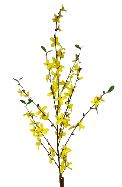 100cm Forsythia Spray Yellow-0