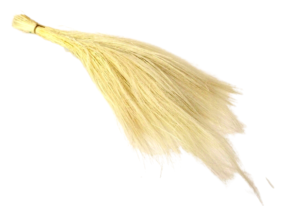 Preserved Barba White (App 100g)-0