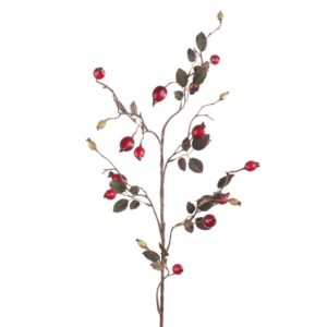 Rose Hip Spray 80cm-0