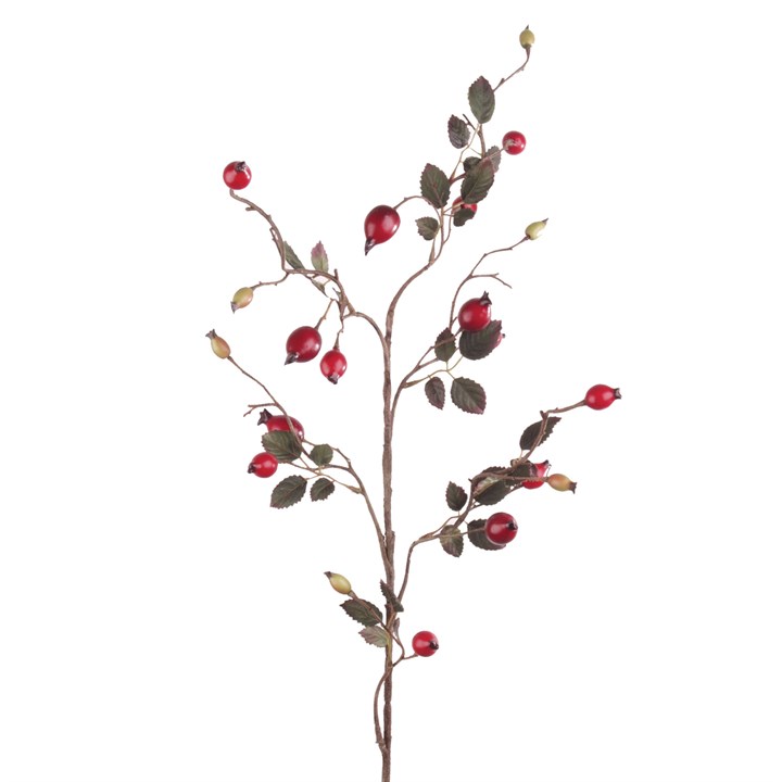 Rose Hip Spray 80cm-0