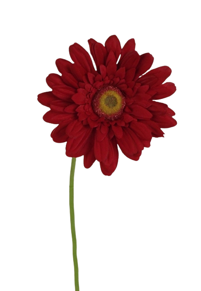 62cm Gerbera Red-0