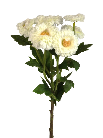 56cm English Daisy Spray Cream-0