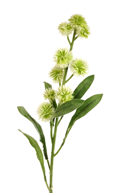 78cm Flocked Pom Pom Spray White/Green-0