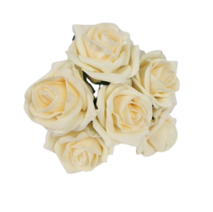 Foam Colourfast Cottage Rose x 6 Vanilla Mist-0