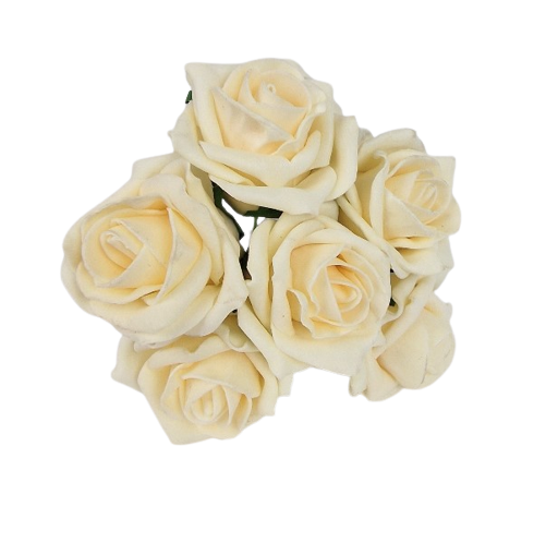 Foam Colourfast Cottage Rose x 6 Vanilla Mist-0
