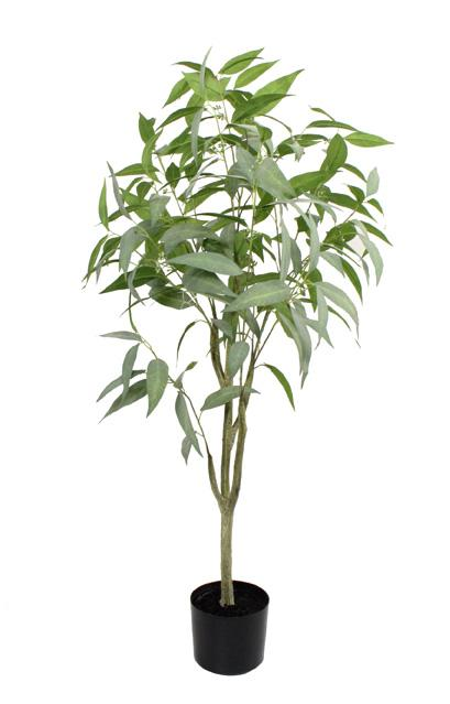 120cm Blue Gum Tree Green