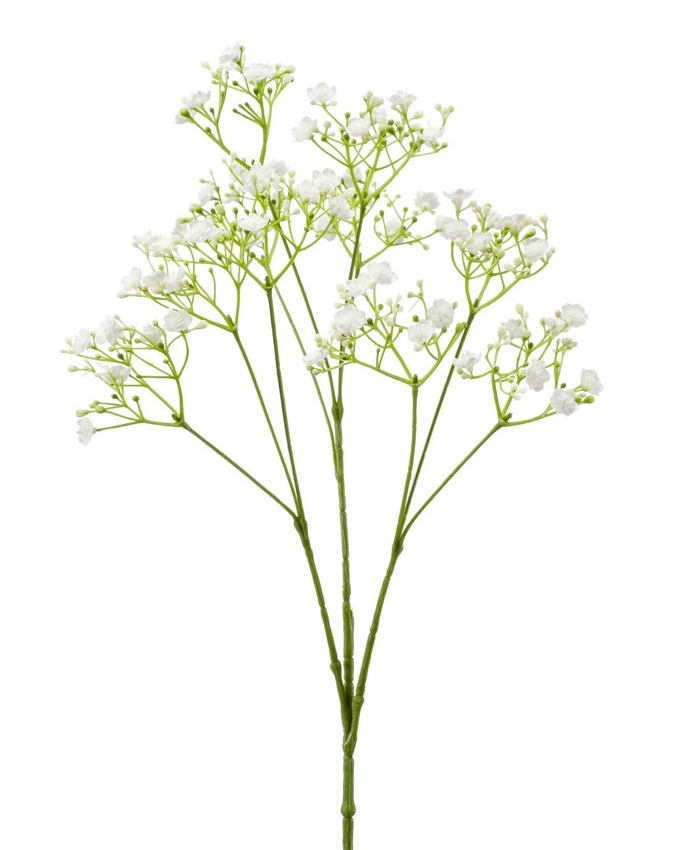 Gypsophila Spray White 68cm-0