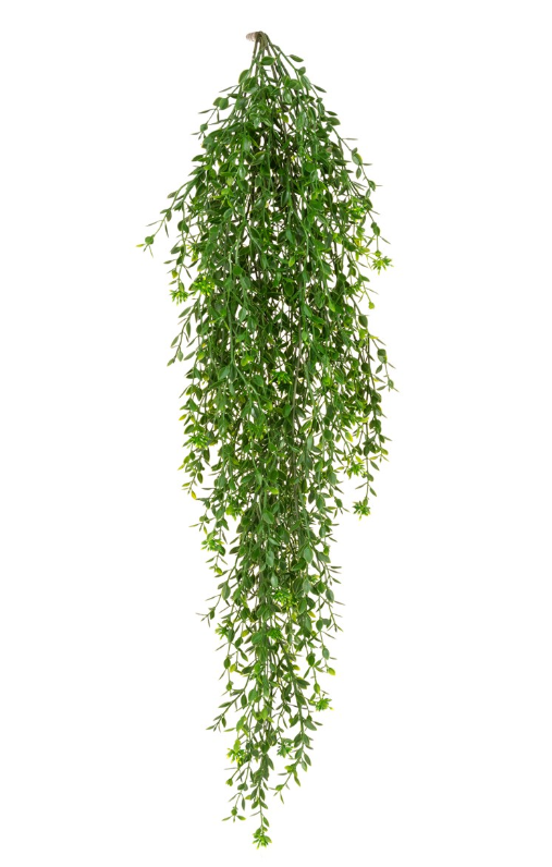 UV Flowering Boxwood Bush Trail 80cm-0