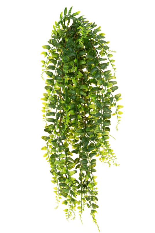 UV Boston Fern Bush Trail 68cm-0