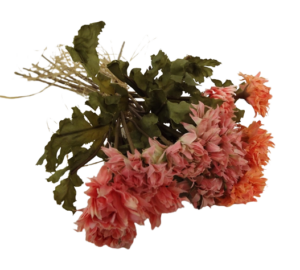 Vintage Strawflower Bundle 30cm Peach-0