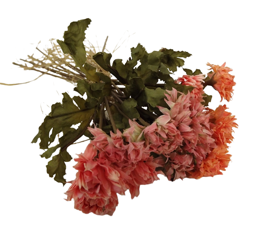 Vintage Strawflower Bundle 30cm Peach-0