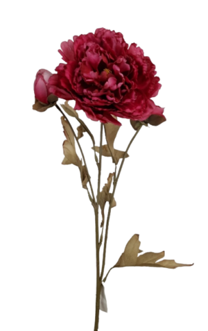 Vintage Oriental Peony Spray Fuchsia-0