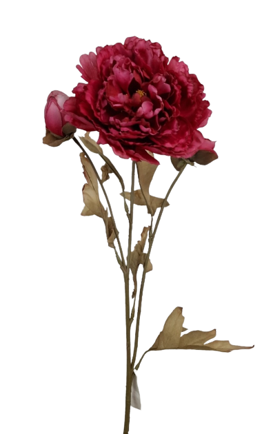 Vintage Oriental Peony Spray Fuchsia-0