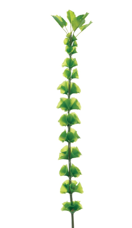 Bells Of Ireland Spray 80cm-0