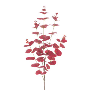 Eucalyptus W/Berries Spray 74cm Burgundy-0
