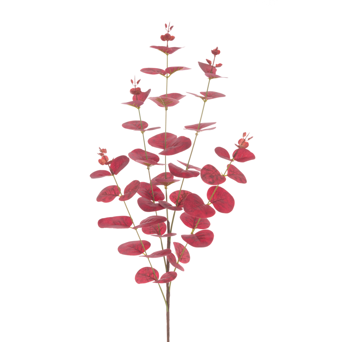 Eucalyptus W/Berries Spray 74cm Burgundy-0
