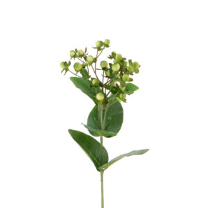Hypericum 72cm Cream/Green-0