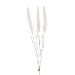 Bunny Tail Bundle 48cm White-0