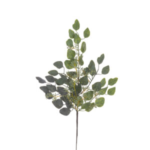 Gleethorpe Eucalyptus Spray 60cm-0