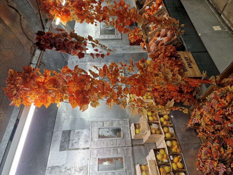 Large Grape Ivy Bush - Orange (370 leaves, 180cm long)-23566