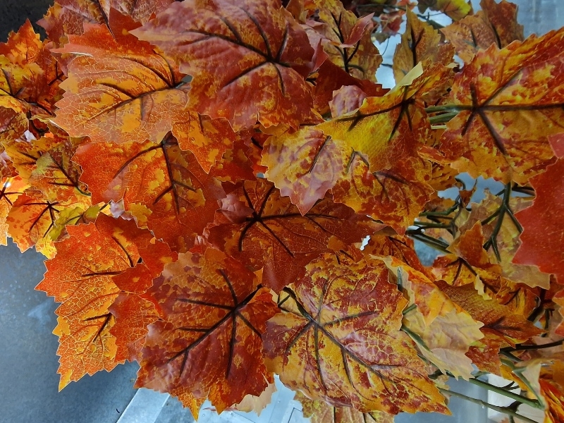 Large Grape Ivy Bush - Orange (370 leaves, 180cm long)-23567