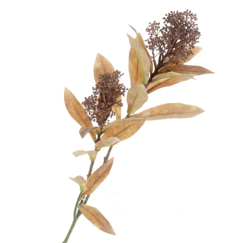 Skimmia Spray - Brown (72cm long)-0