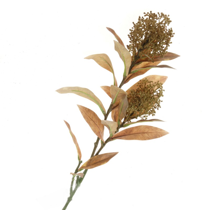 Skimmia Spray - Green/Yellow (72cm long)-0