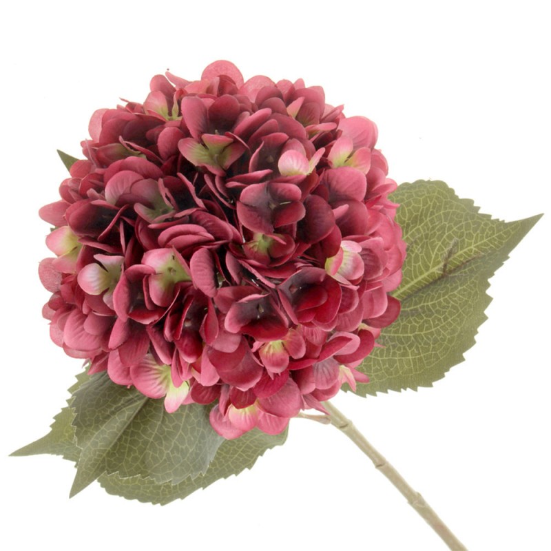 Single Hydrangea - Burgundy (19cm diameter, 82cm long)-0