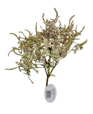 Limonium Bush Cream (45cm) Cream-0