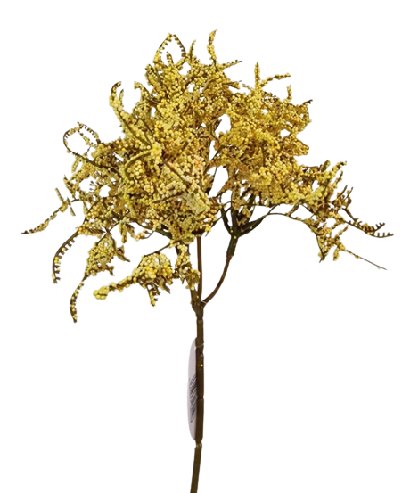 Limonium Bush Cream (45cm) Yellow-0