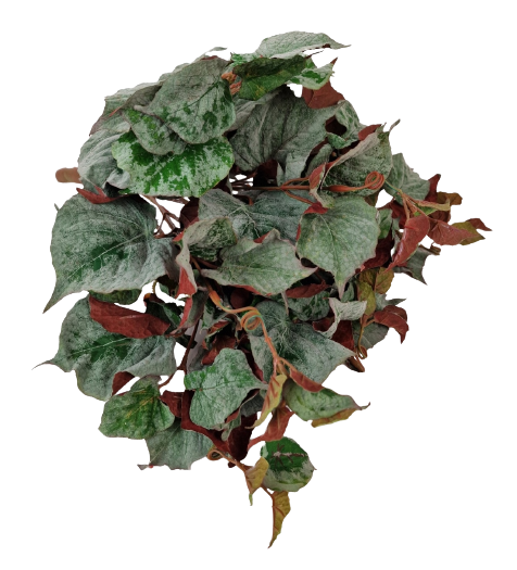Flocked Autumn Maple Ivy Bush-0