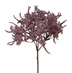 Limonium Bush (45cm) Pink-0