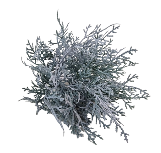 Cushion Bush - Grey (25cm Long)-0