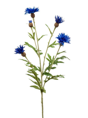 Centaurea Spray Blue 60cm-0