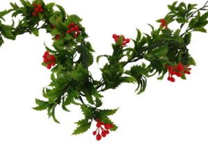 Plain Holly Garland (190cm)-0