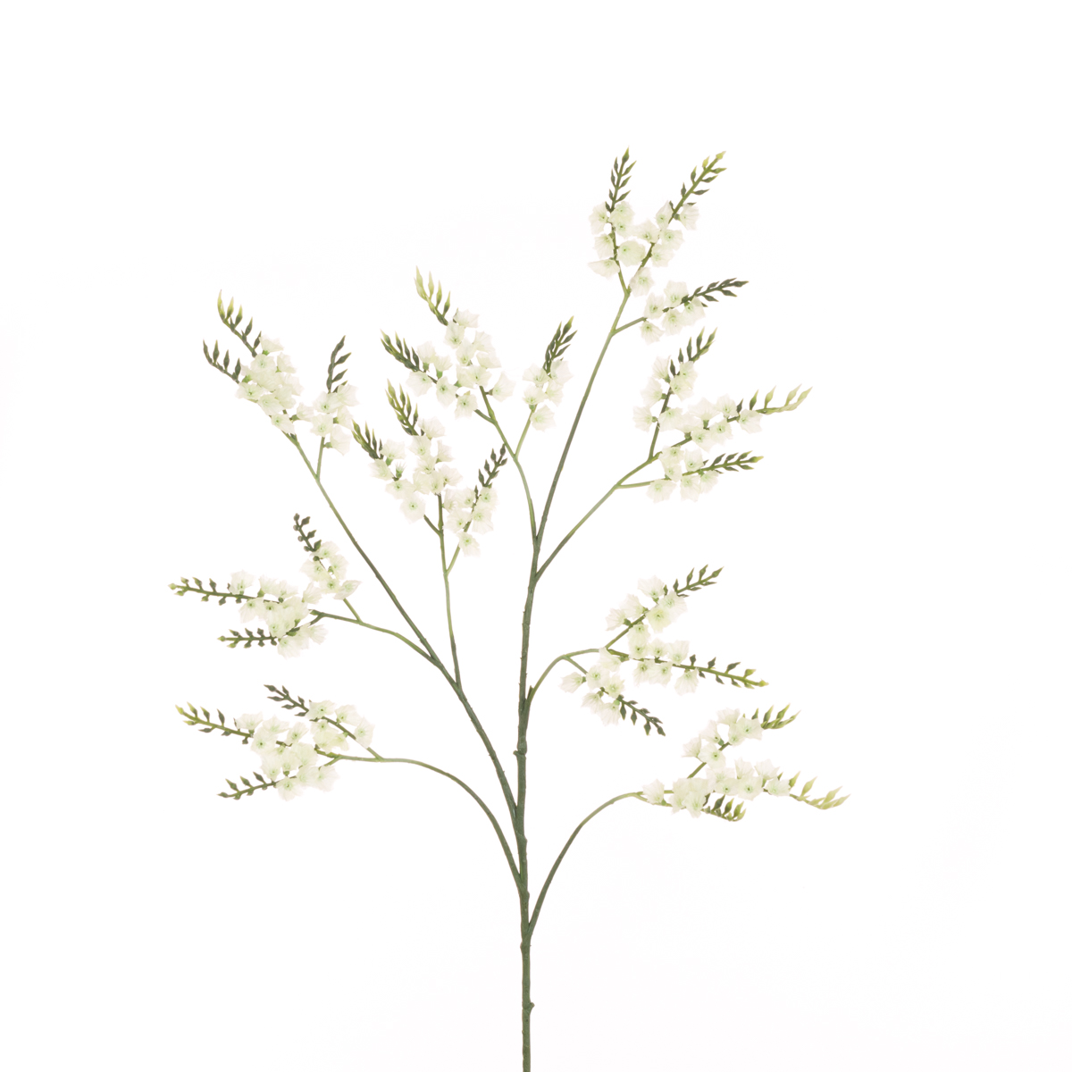 Sea Lavender (Statice) Spray 79cm Cream-0