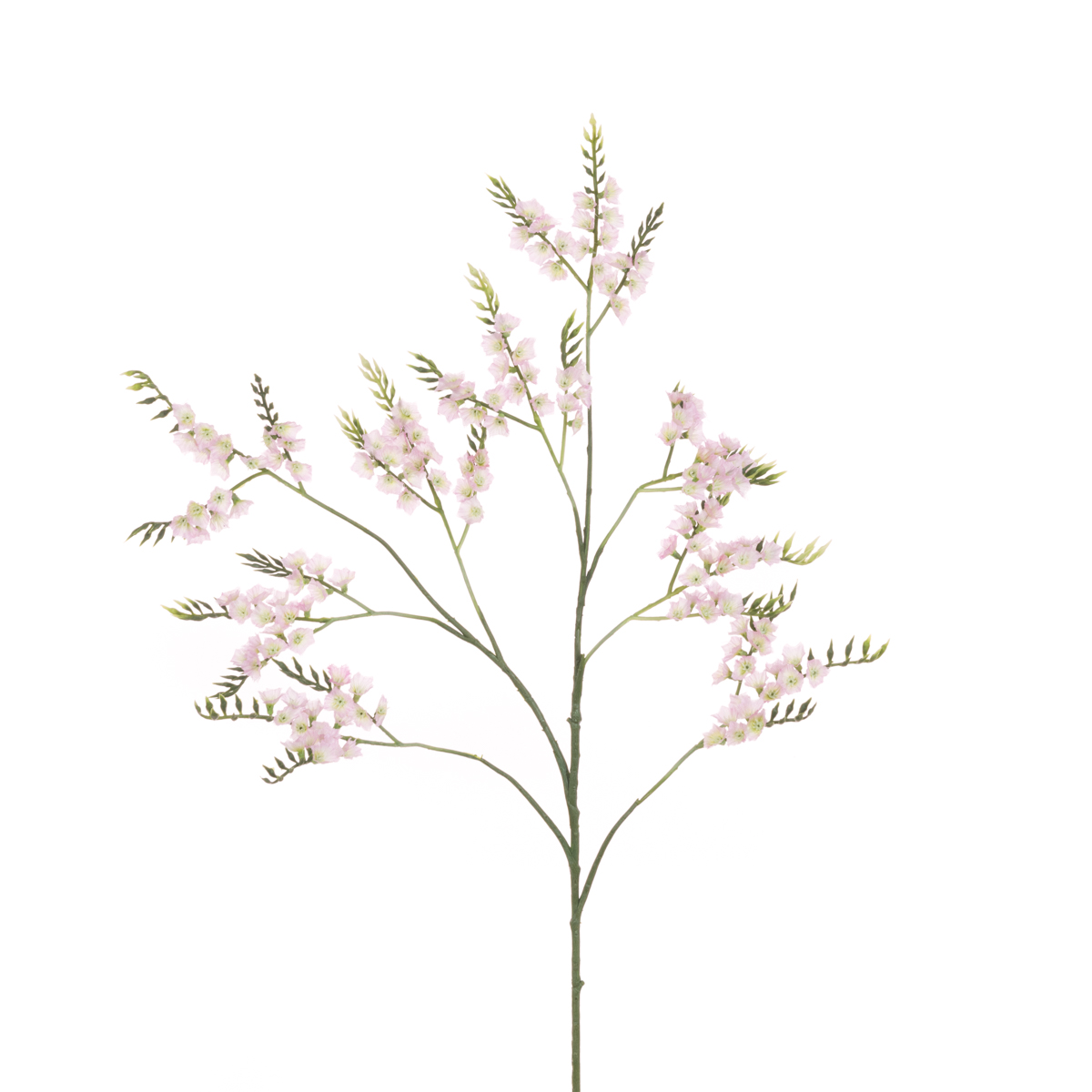 Sea Lavender (Statice) Spray 79cm Light Pink-0