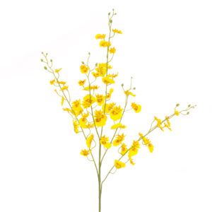 Dancing Orchid Spray 105cm Yellow-0