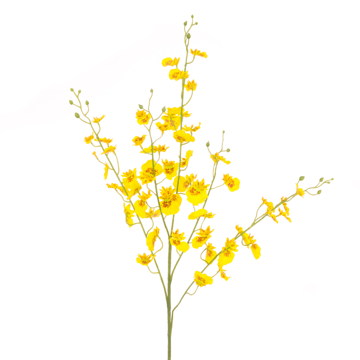 Dancing Orchid Spray 105cm Yellow-0
