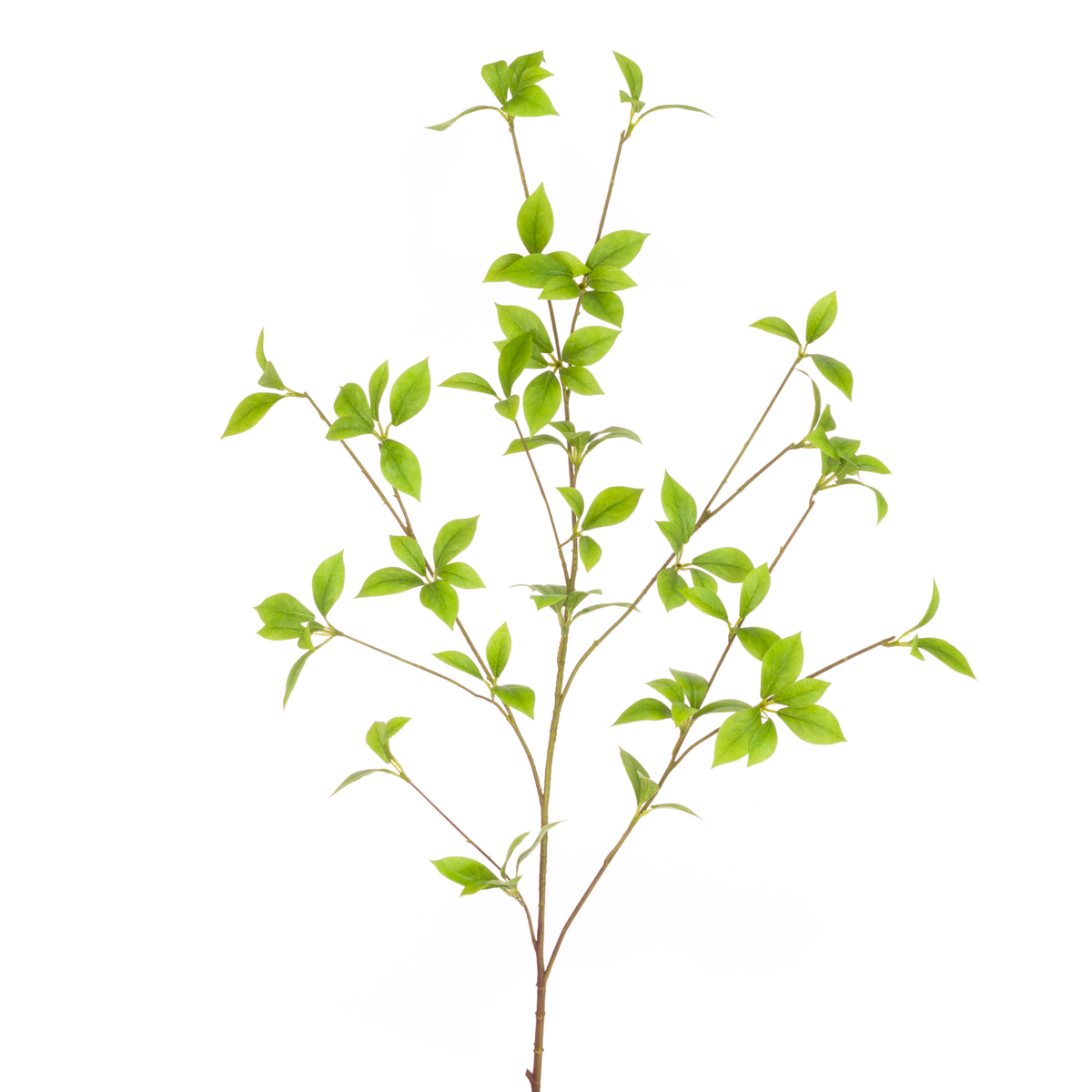 Wild Honeysuckle Spray 109cm-0